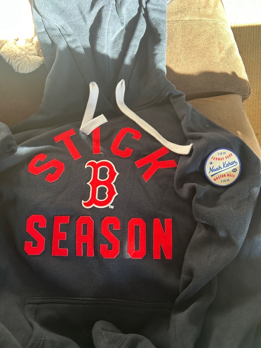 "Stick Season" Women's Pullover Hoodie - Black